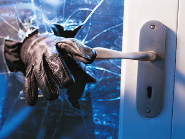 security expert looking at computer monitor